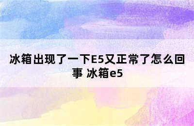 冰箱出现了一下E5又正常了怎么回事 冰箱e5